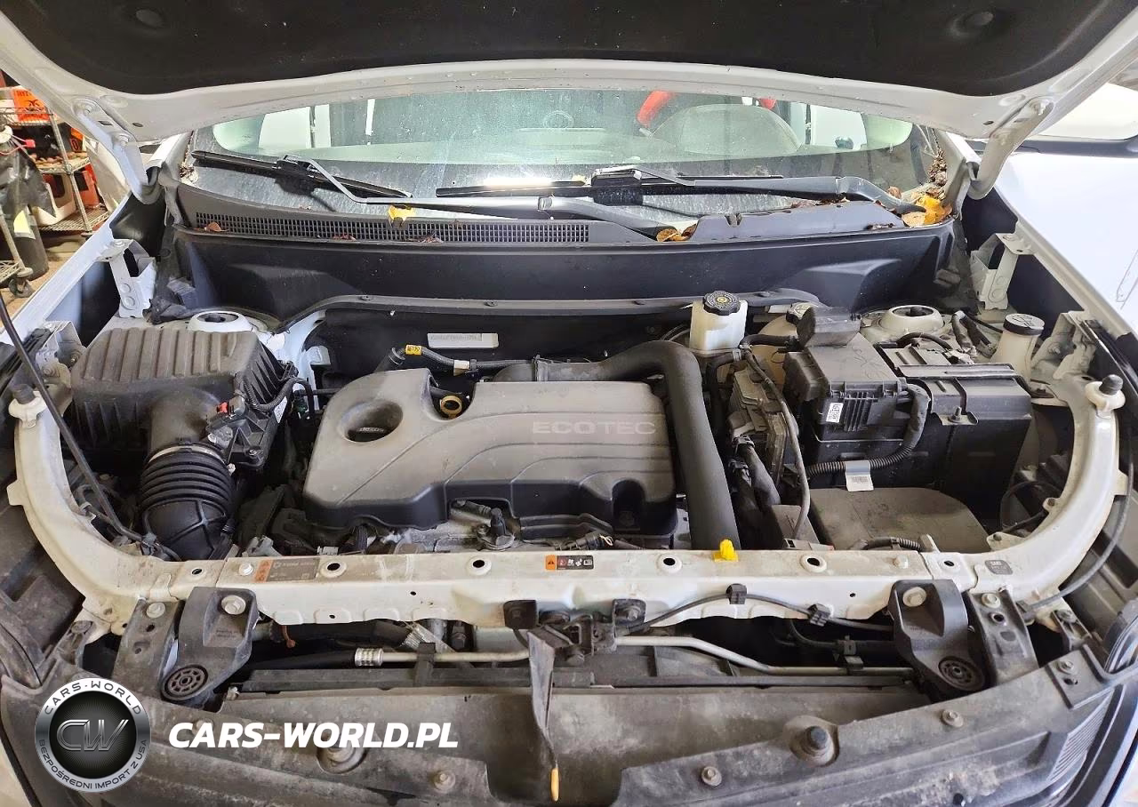 2019 Chevrolet Equinox Lt VIN:2GNAXUEV5K6157603 - 12