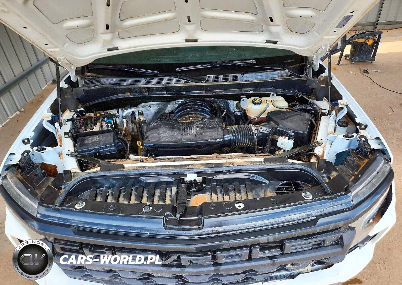 2023 Chevrolet Silverado K1500 VIN:3GCUDAED1PG118880 - 11