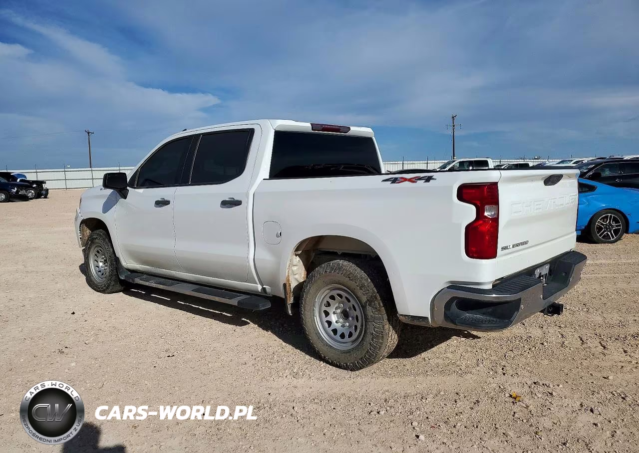 2023 Chevrolet Silverado K1500 VIN:3GCUDAED1PG118880 - 2