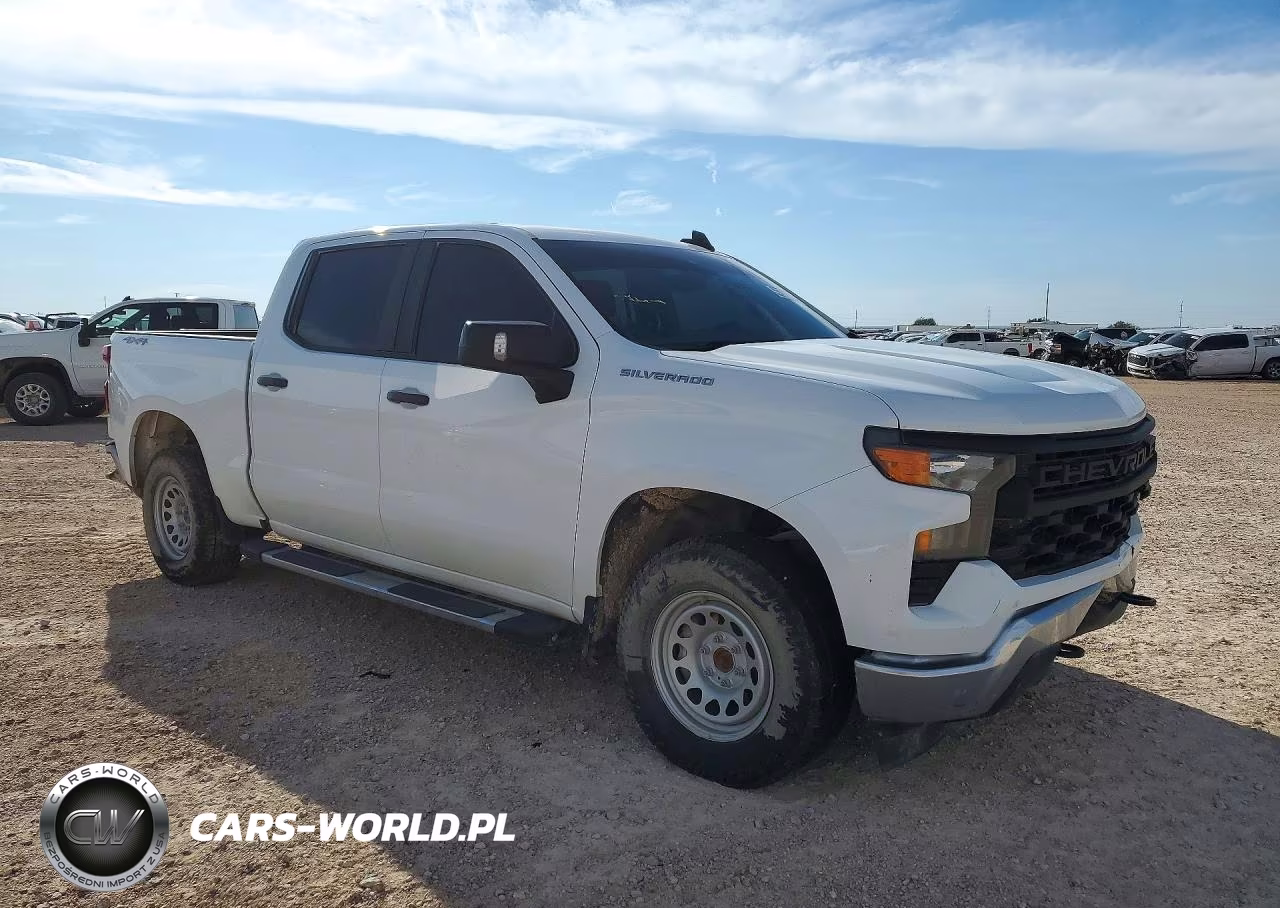 2023 Chevrolet Silverado K1500 VIN:3GCUDAED1PG118880 - 4