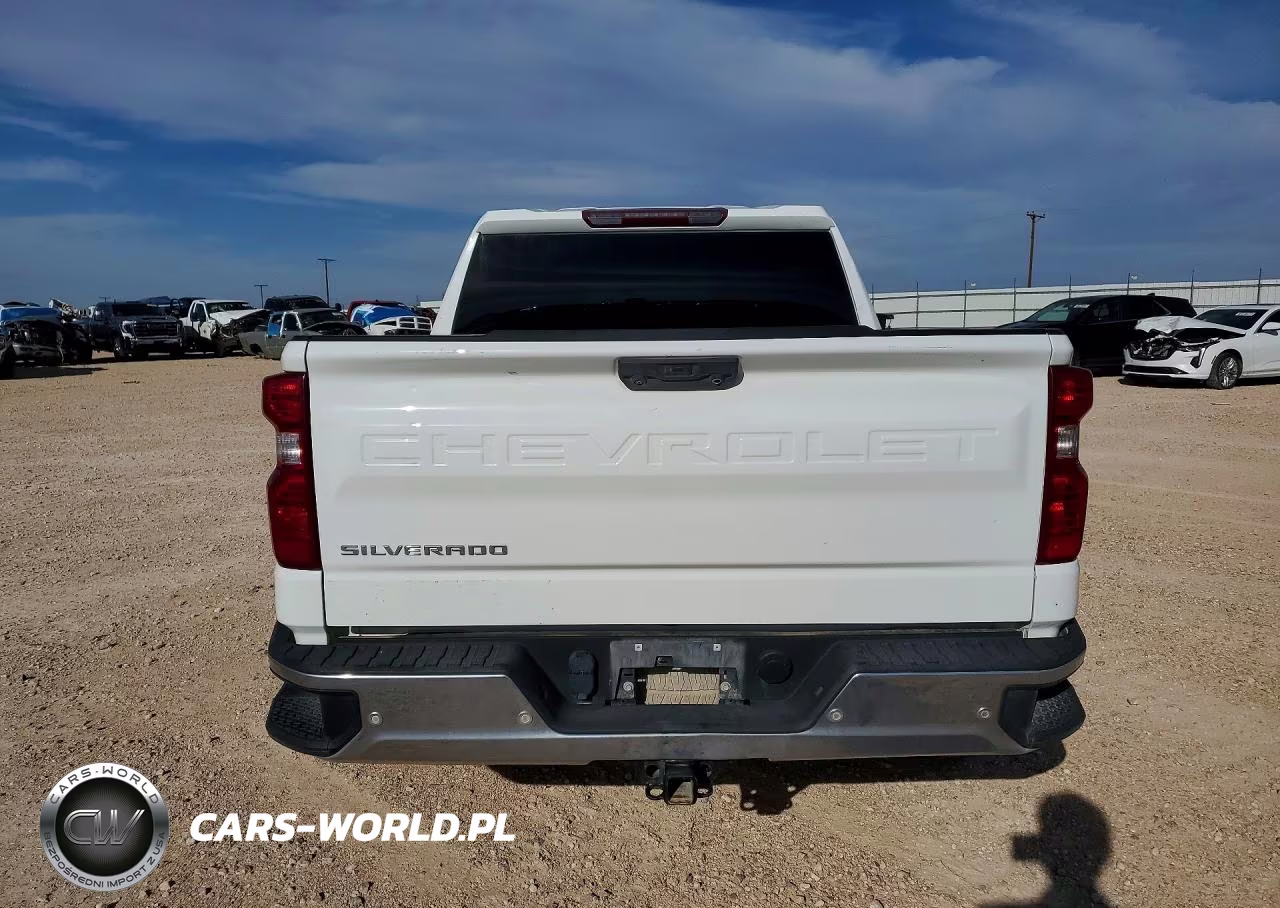 2023 Chevrolet Silverado K1500 VIN:3GCUDAED1PG118880 - 6
