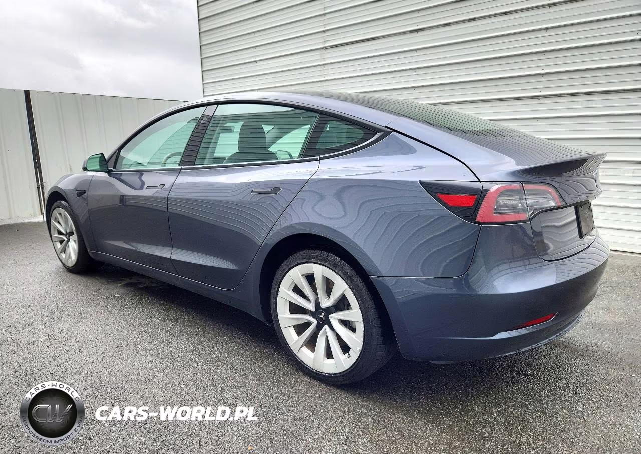 2023 Tesla Model 3 VIN:5YJ3E1EA5PF447134 - 2