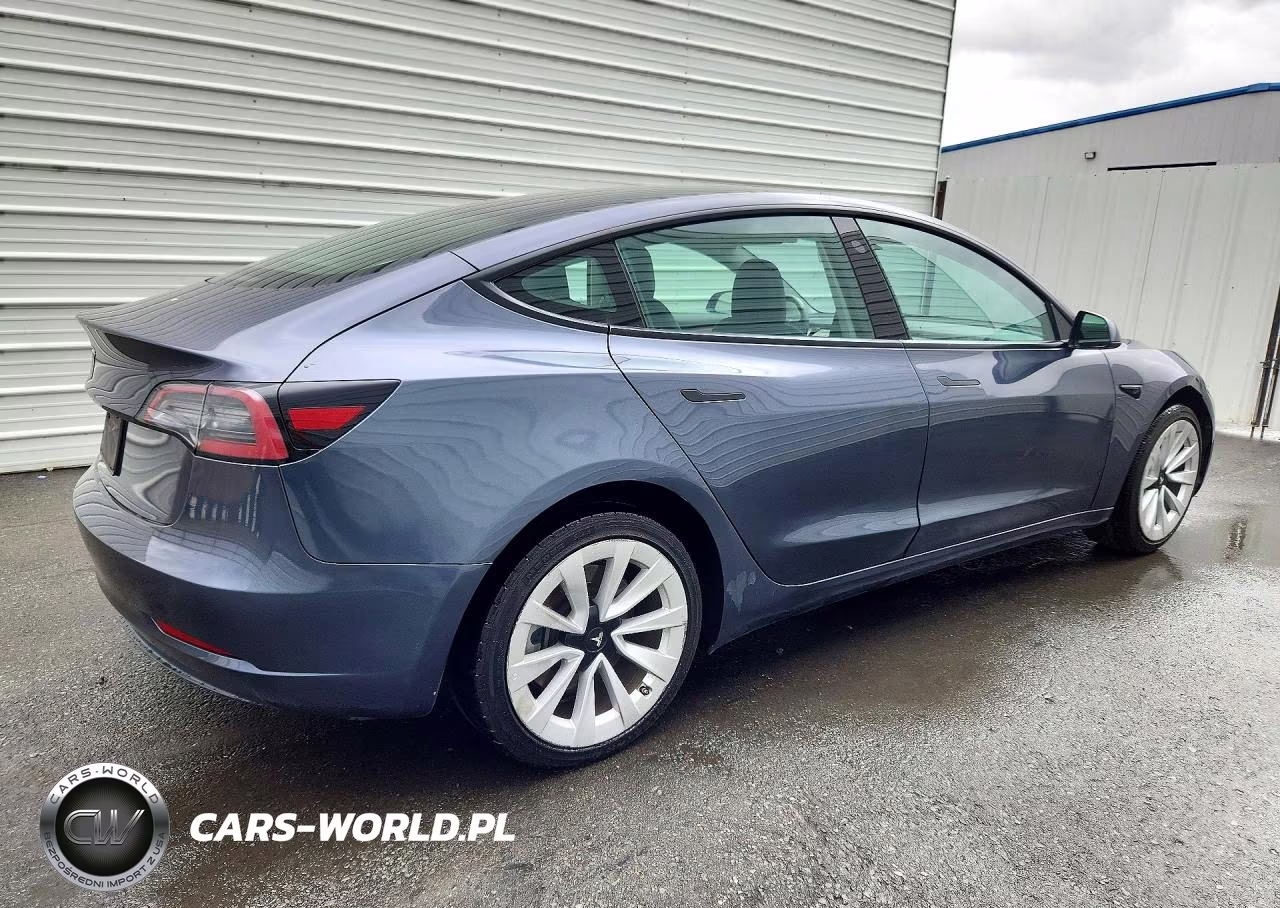 2023 Tesla Model 3 VIN:5YJ3E1EA5PF447134 - 3
