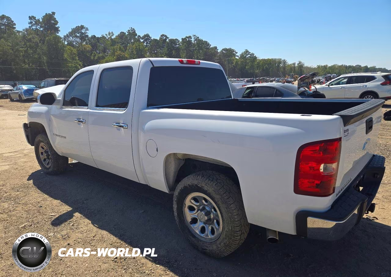2009 Chevrolet Silverado C1500 VIN:2GCEC13C491140398 - 2