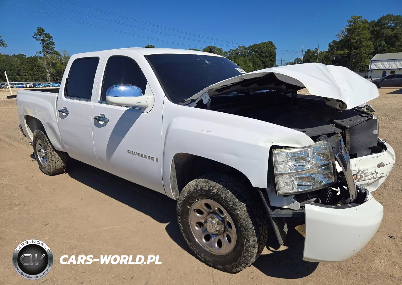 2009 Chevrolet Silverado C1500 VIN:2GCEC13C491140398 - 4