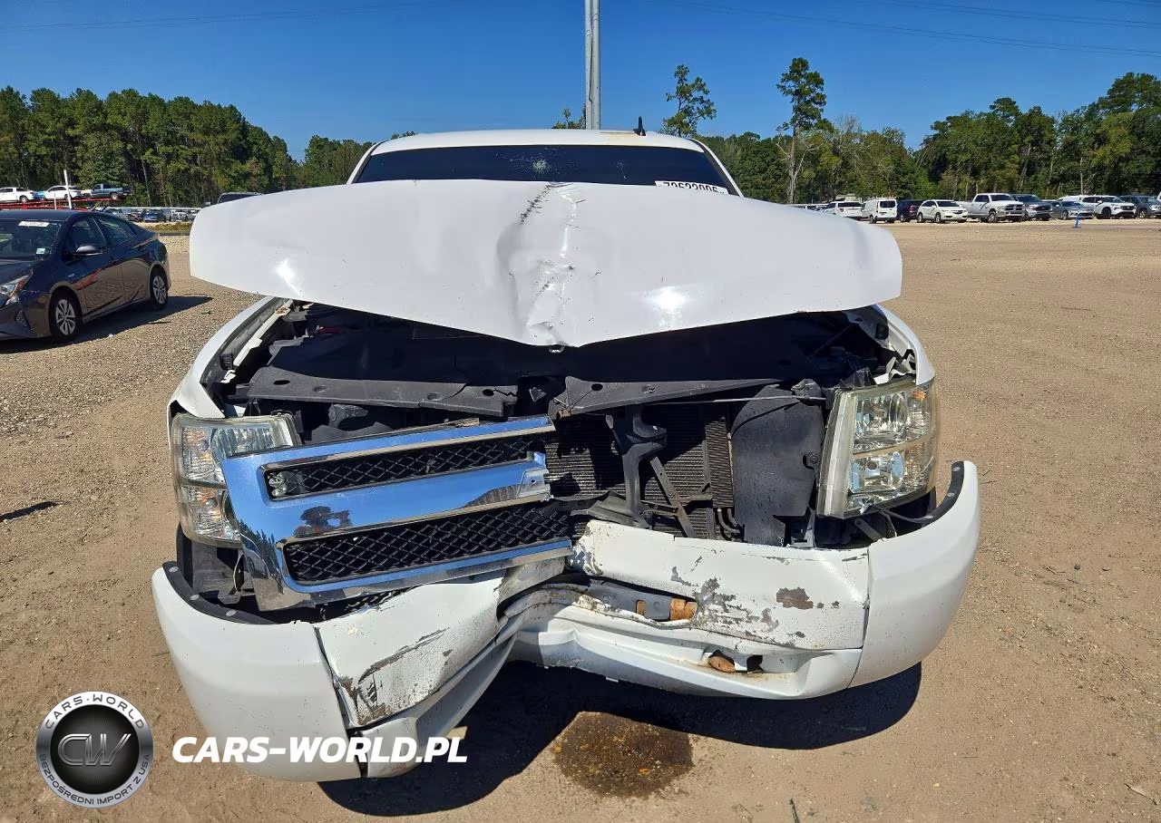 2009 Chevrolet Silverado C1500 VIN:2GCEC13C491140398 - 5
