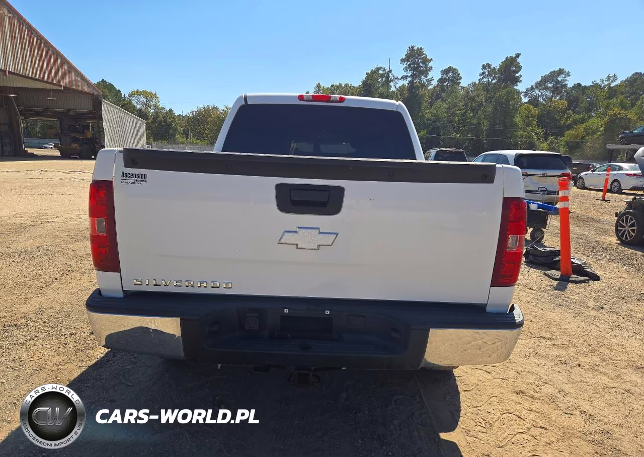 2009 Chevrolet Silverado C1500 VIN:2GCEC13C491140398 - 6