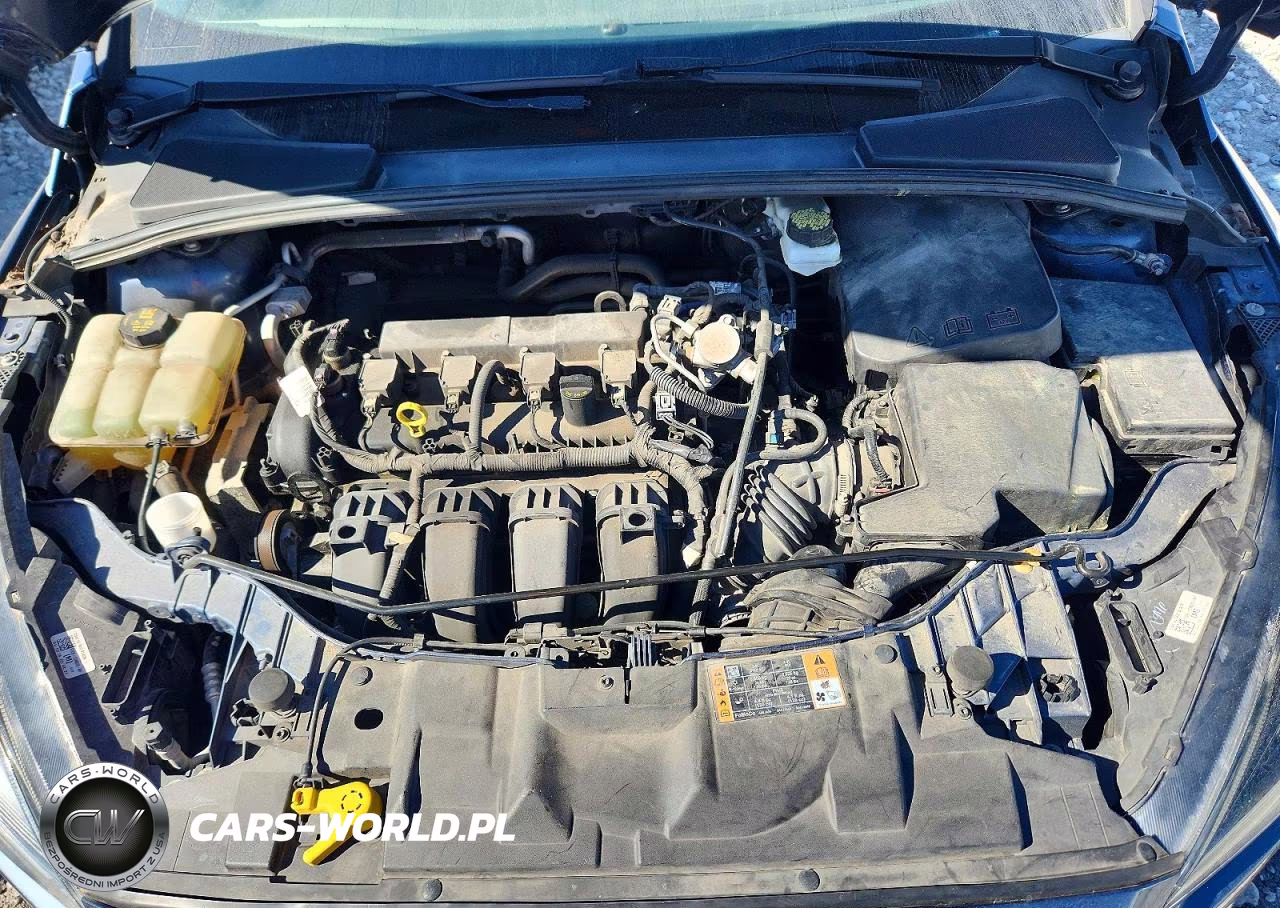 2018 Ford Focus Sel VIN:1FADP3H25JL259724 - 11