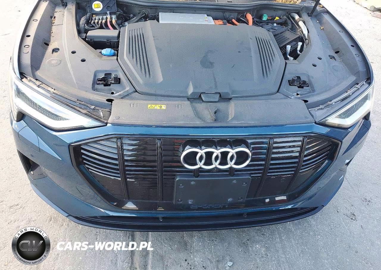 2021 Audi E-Tron Premium VIN:WA1AAAGE8MB027119 - 12