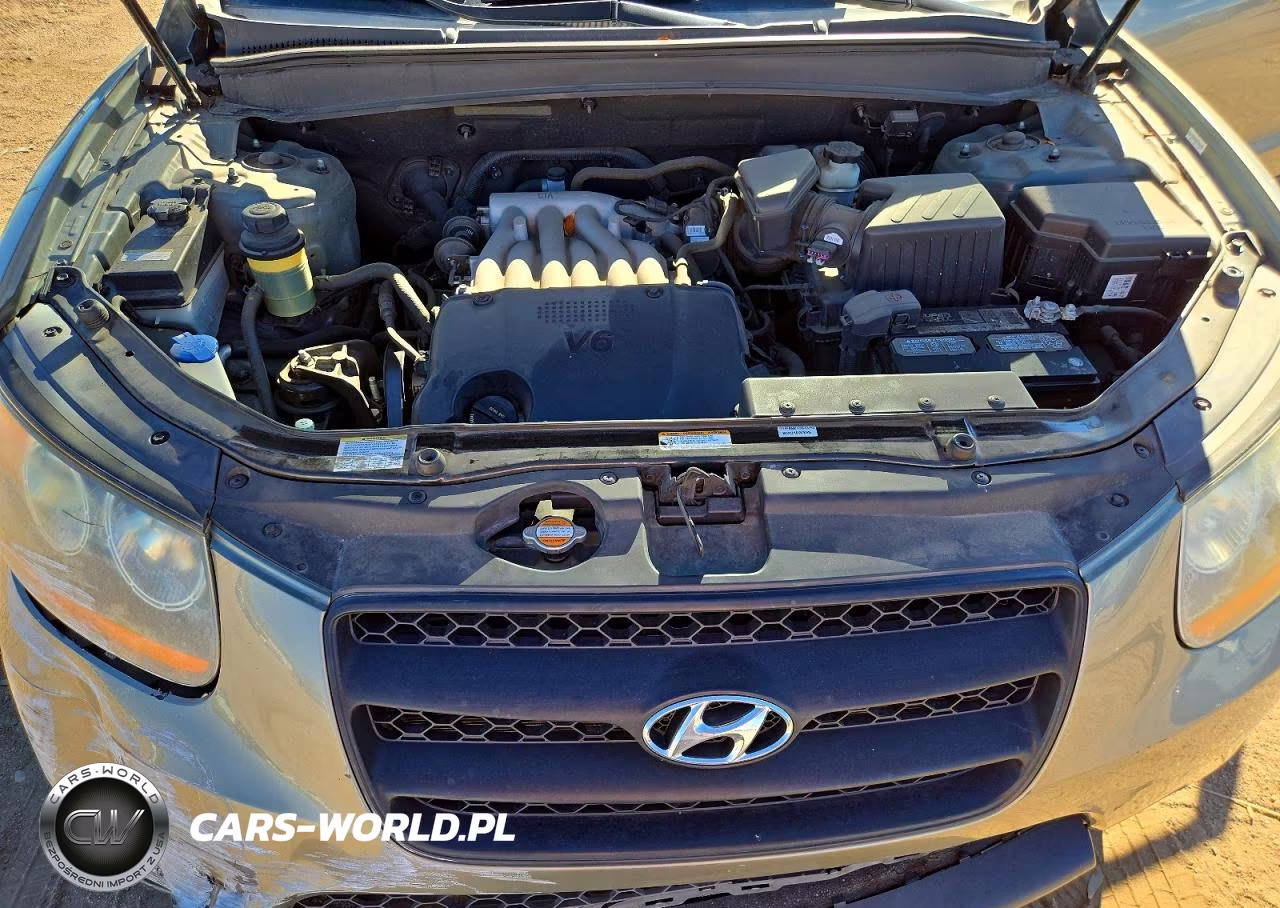 2009 Hyundai Santa Fe Gls VIN:5NMSG73D99H321480 - 12