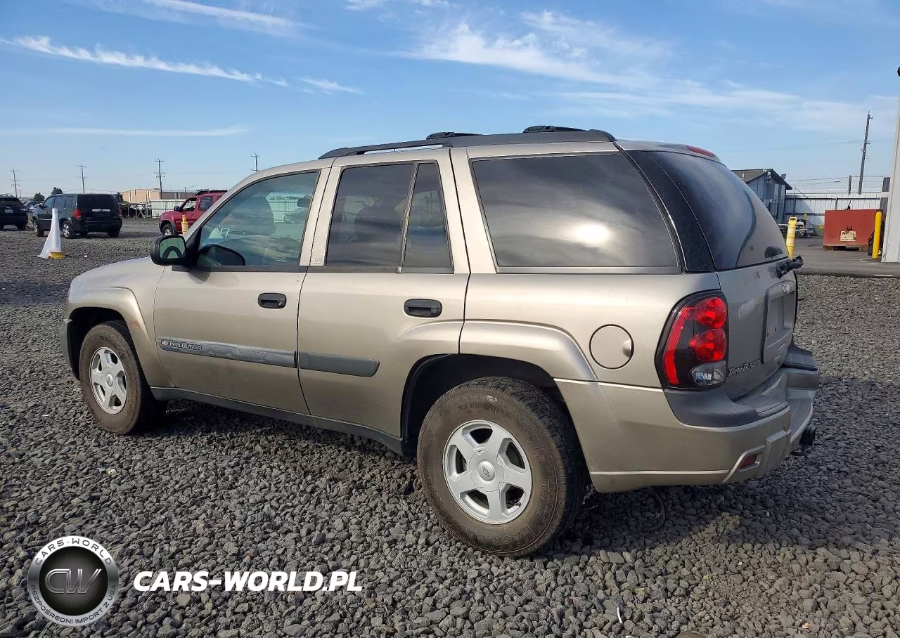2003 Chevrolet Trailblazer VIN:1GNDT13S932294266 - 2