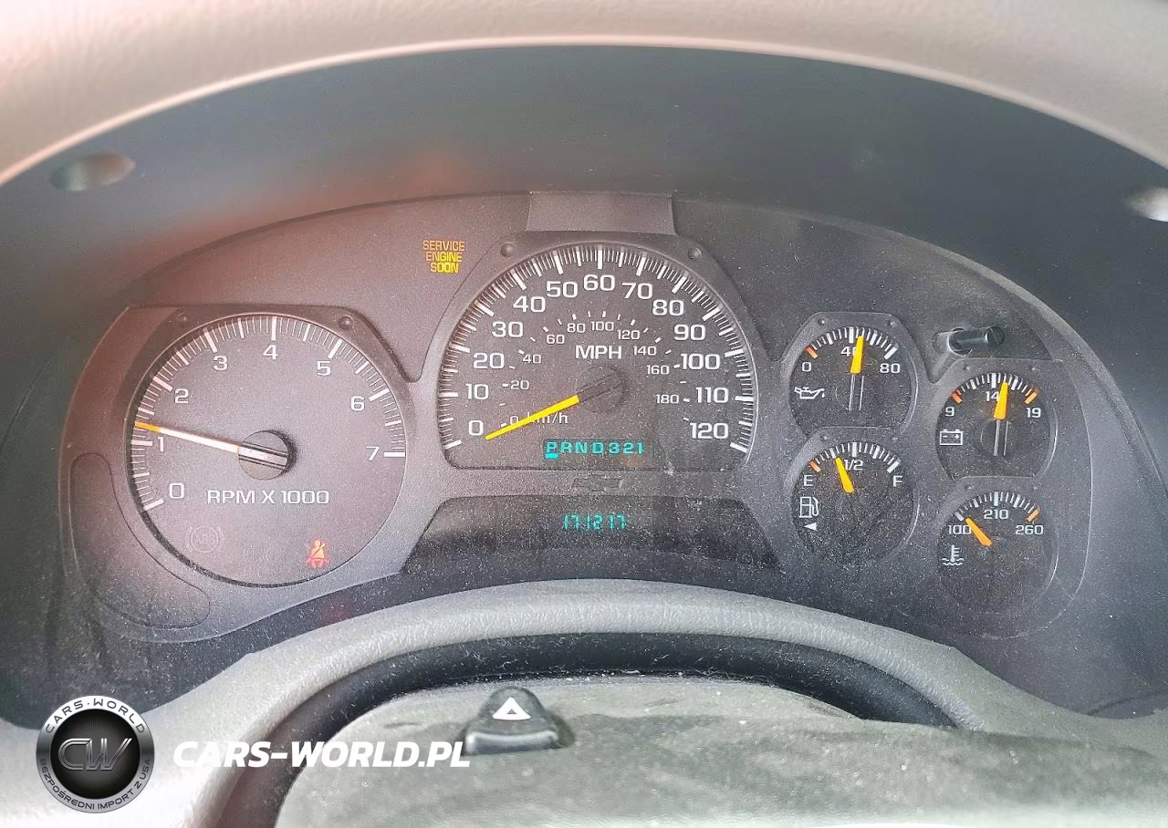 2003 Chevrolet Trailblazer VIN:1GNDT13S932294266 - 9
