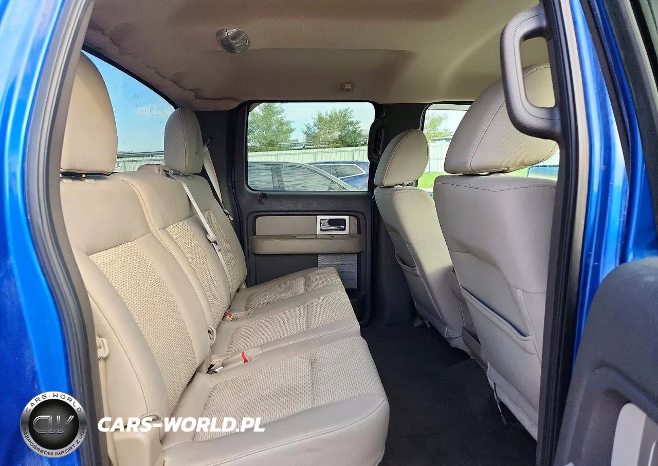 2010 Ford F150 Supercrew VIN:1FTFW1EV5AKE70551 - 10