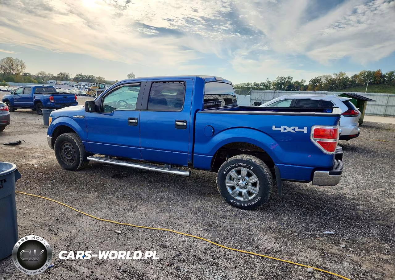 2010 Ford F150 Supercrew VIN:1FTFW1EV5AKE70551 - 2