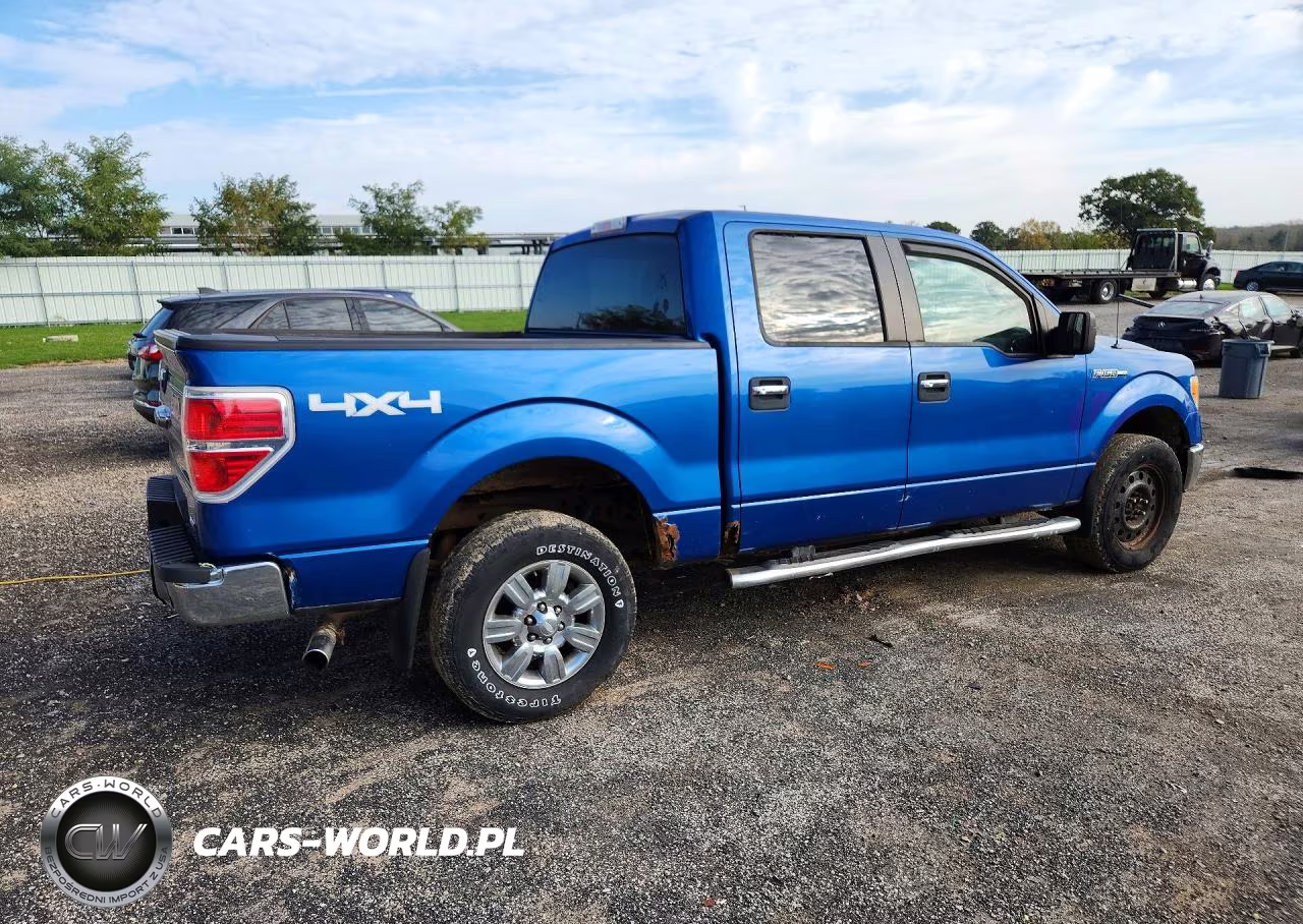 2010 Ford F150 Supercrew VIN:1FTFW1EV5AKE70551 - 3