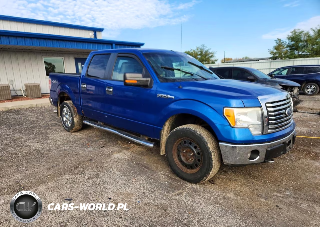 2010 Ford F150 Supercrew VIN:1FTFW1EV5AKE70551 - 4