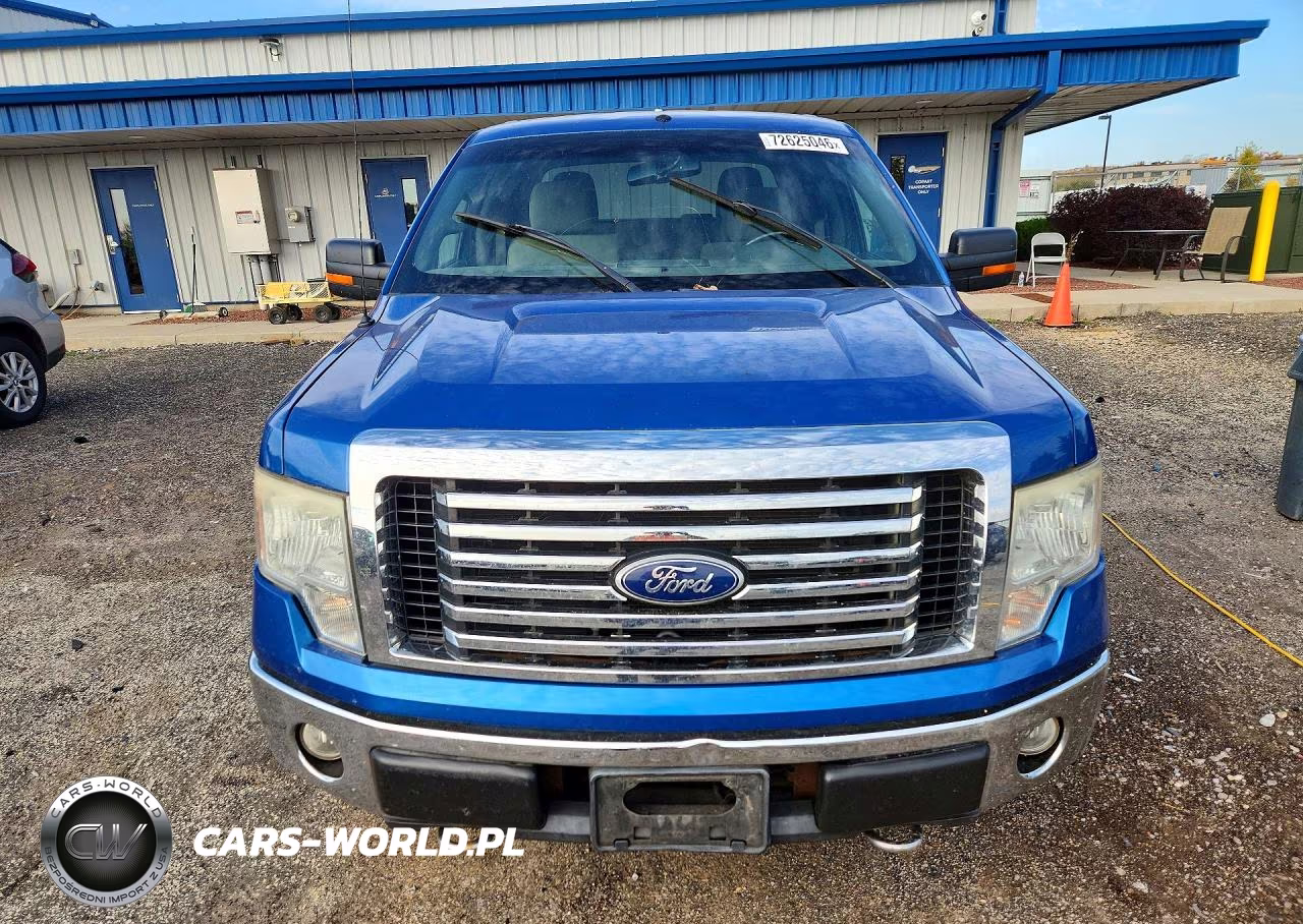 2010 Ford F150 Supercrew VIN:1FTFW1EV5AKE70551 - 5