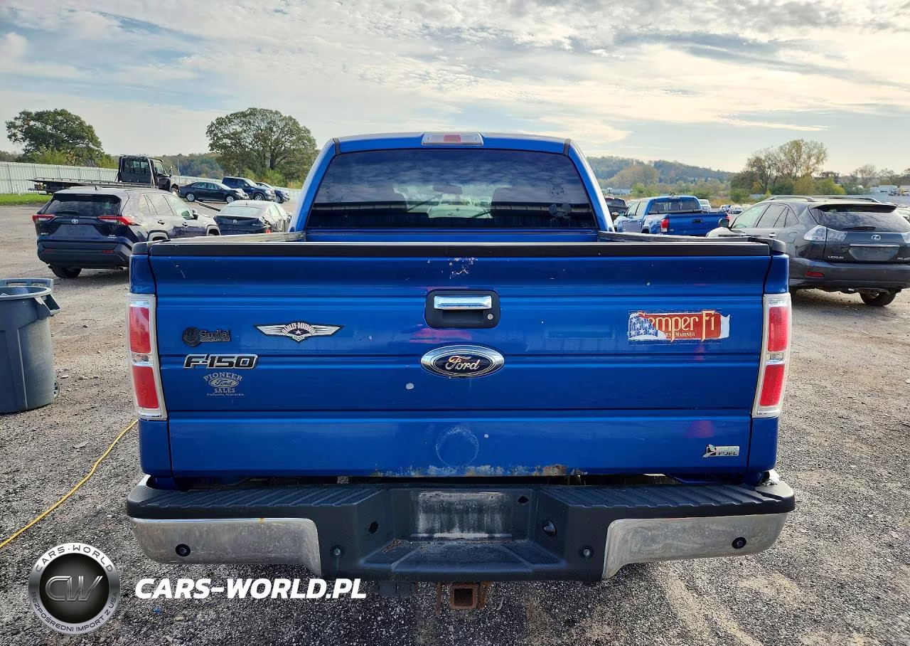2010 Ford F150 Supercrew VIN:1FTFW1EV5AKE70551 - 6