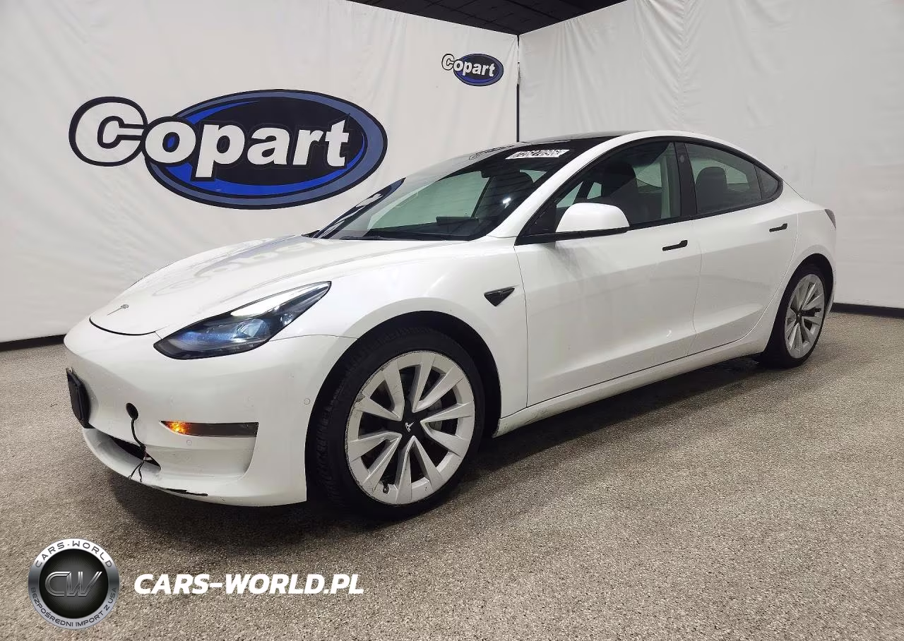 2022 Tesla Model 3 VIN:5YJ3E1EA8NF304336 - 1
