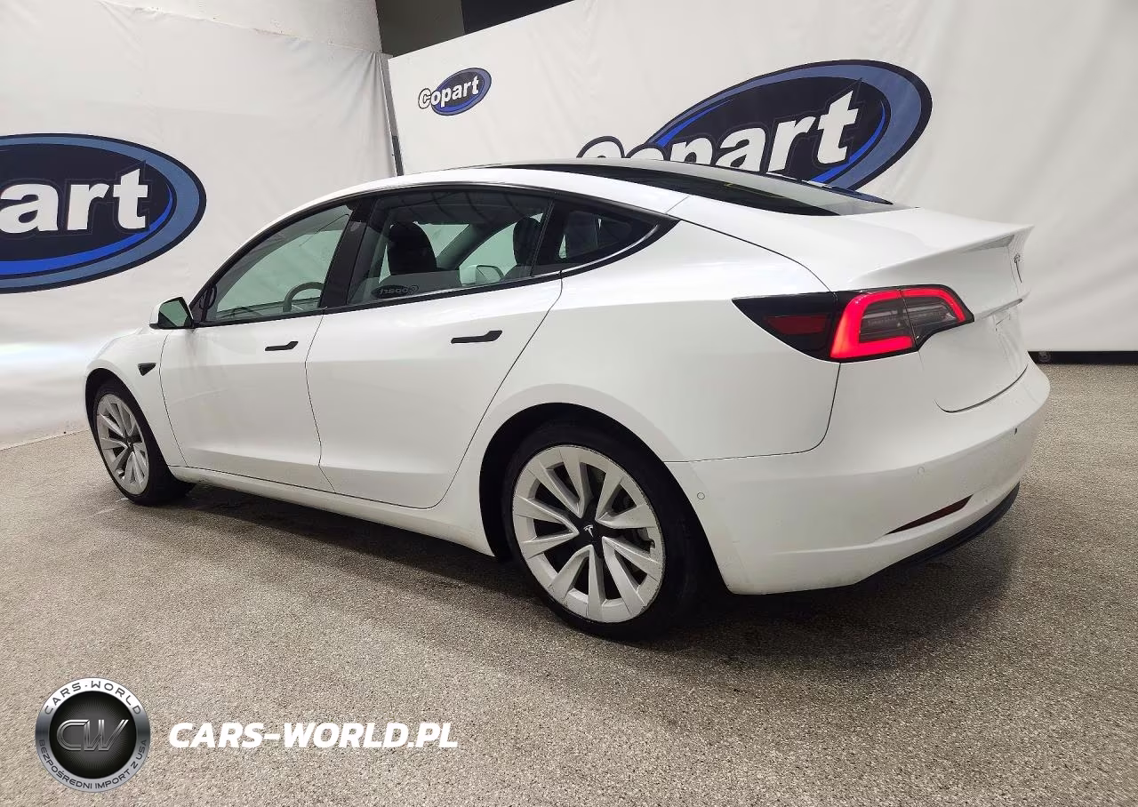 2022 Tesla Model 3 VIN:5YJ3E1EA8NF304336 - 2