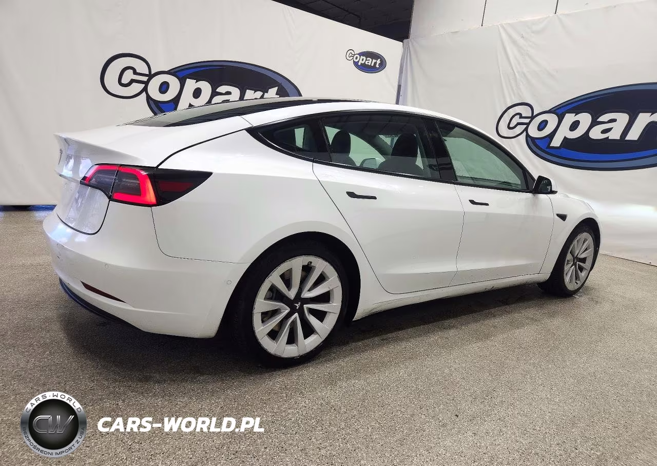 2022 Tesla Model 3 VIN:5YJ3E1EA8NF304336 - 3