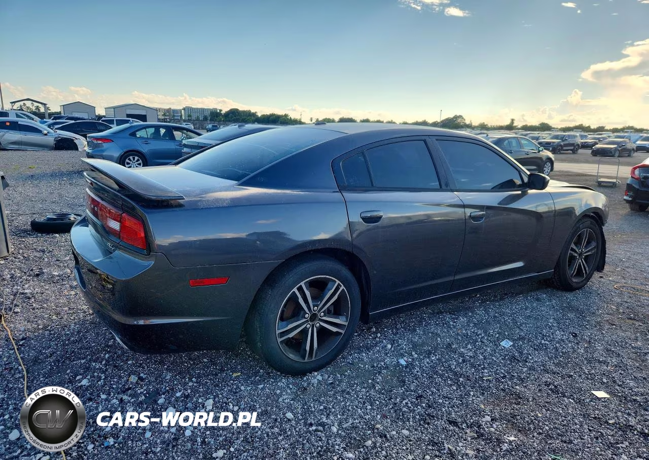 2014 Dodge Charger R-T VIN:2C3CDXDT5EH320484 - 3