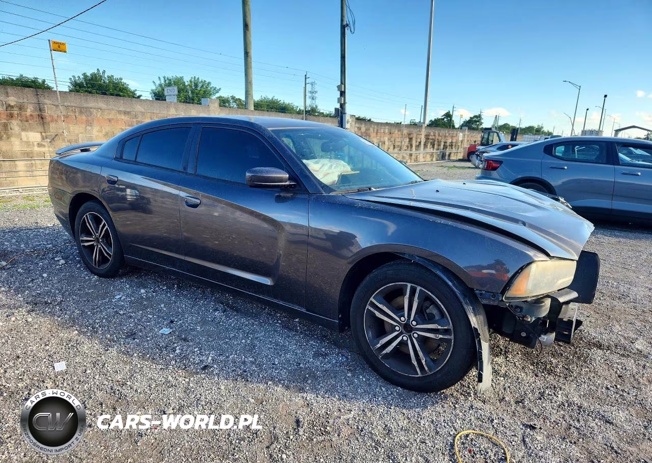 2014 Dodge Charger R-T VIN:2C3CDXDT5EH320484 - 4