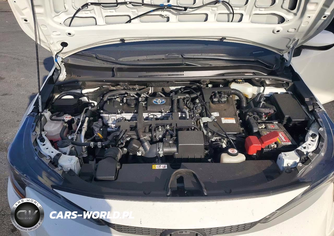 2021 Toyota Corolla Le VIN:JTDEAMDE7MJ032878 - 11