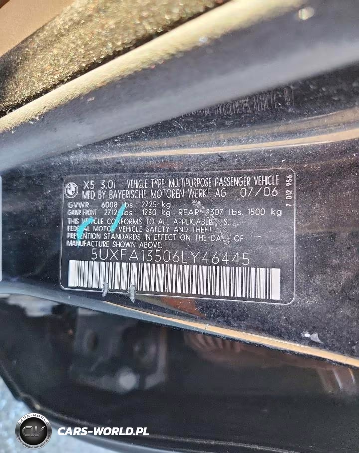 2006 BMW X5 3.0I VIN:5UXFA13506LY46445 - 12