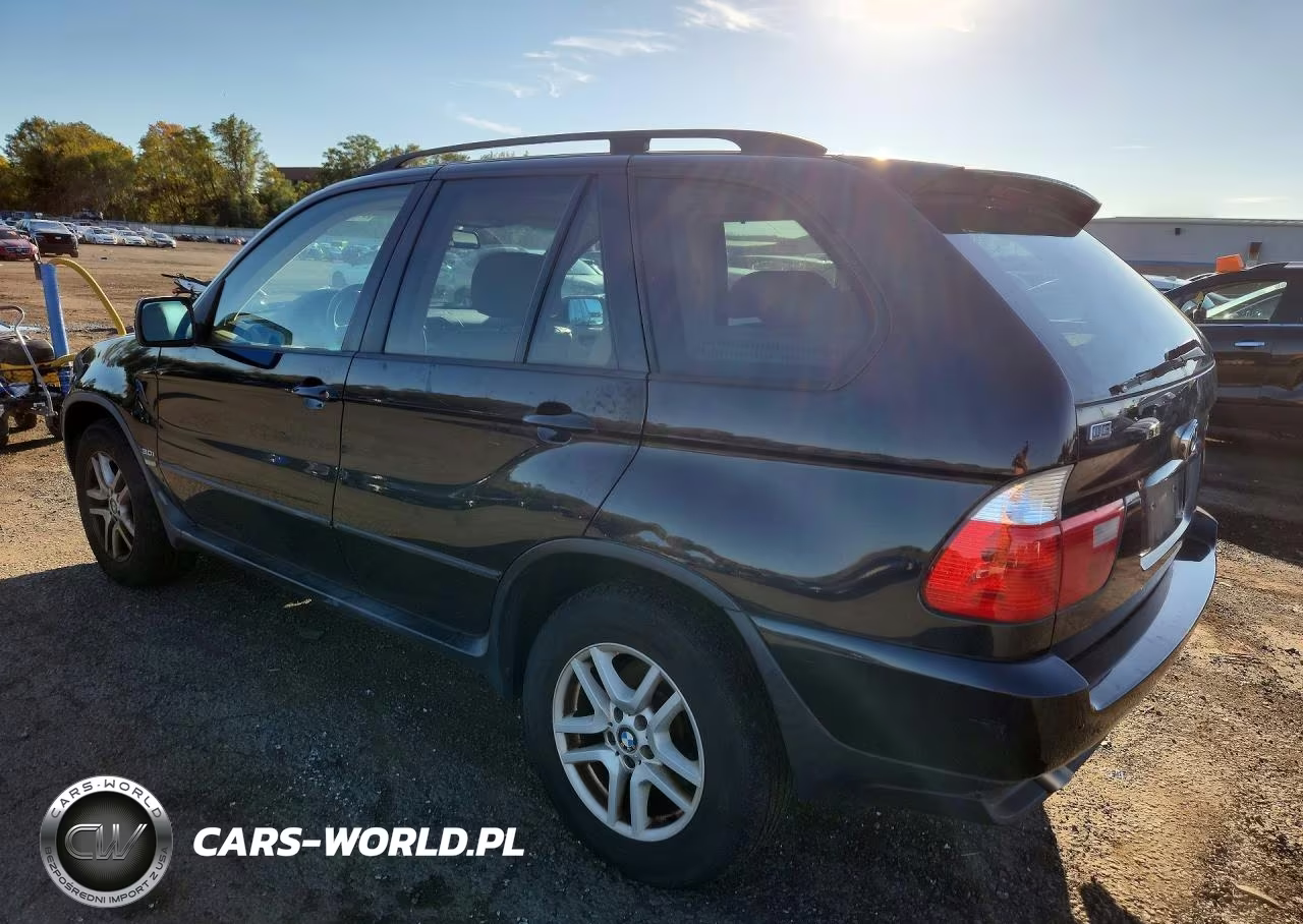 2006 BMW X5 3.0I VIN:5UXFA13506LY46445 - 2