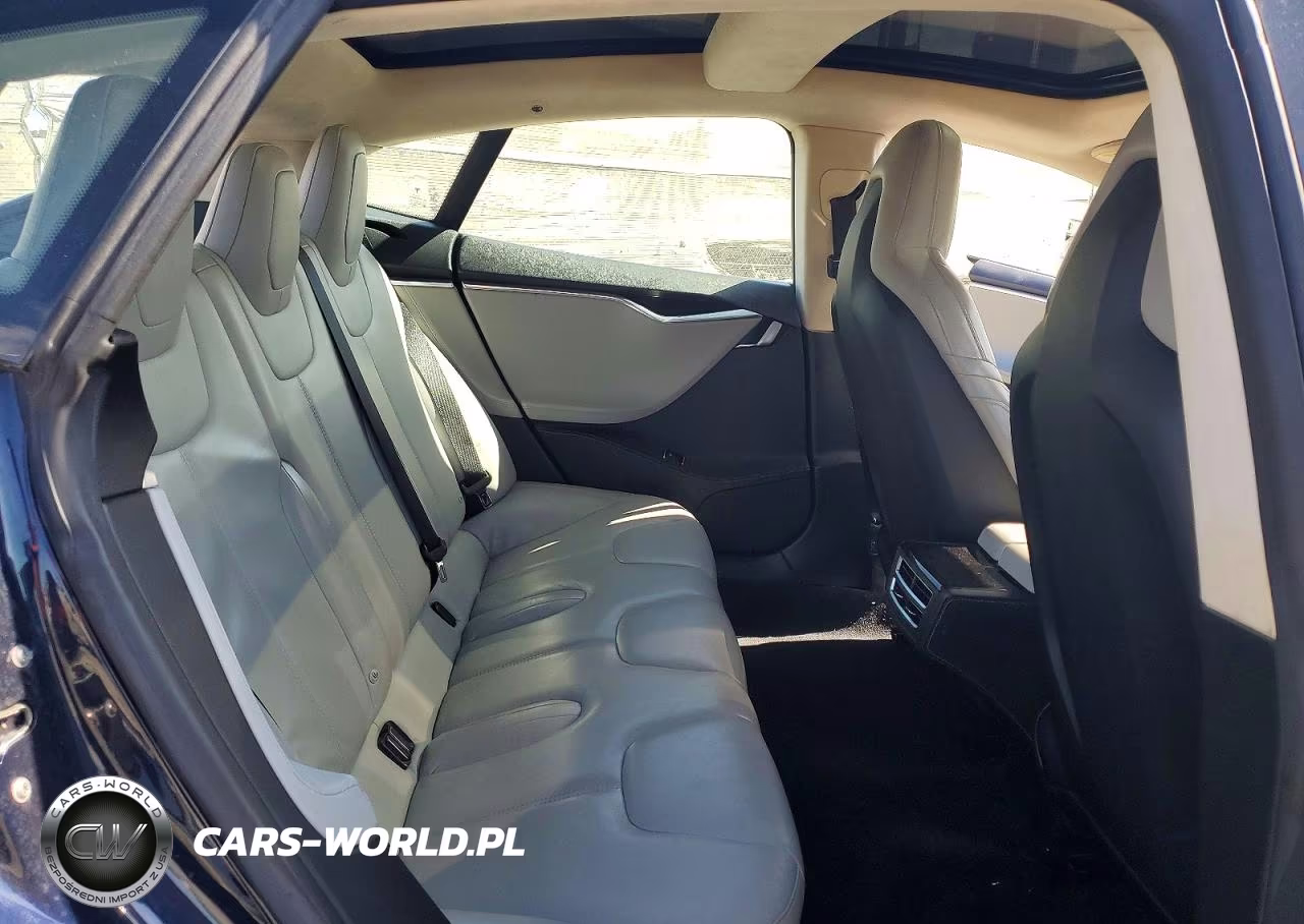 2015 Tesla Model S 85D VIN:5YJSA1H29FFP70869 - 10