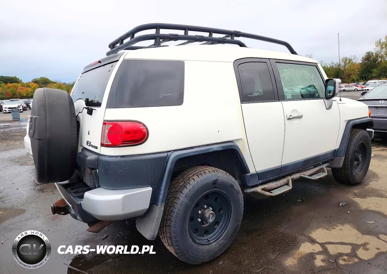 2010 Toyota Fj Cruiser Base VIN:JTEBU4BF7AK070215 - 3