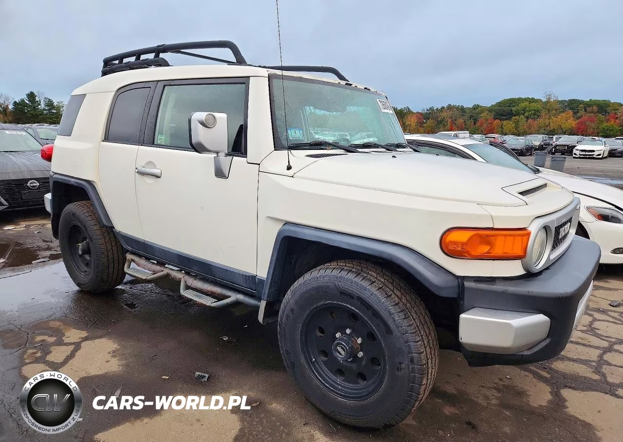 2010 Toyota Fj Cruiser Base VIN:JTEBU4BF7AK070215 - 4