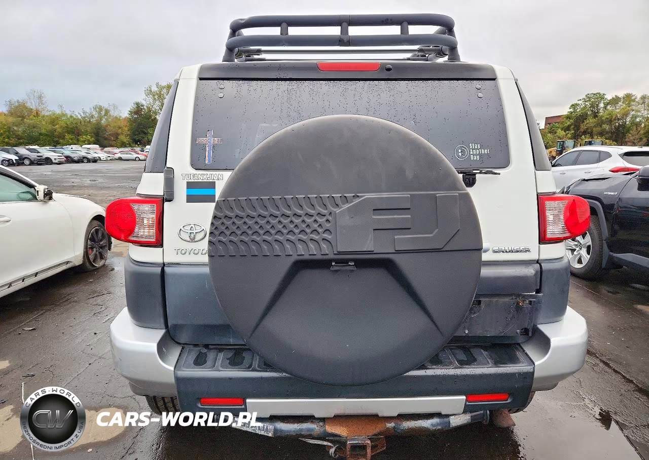 2010 Toyota Fj Cruiser Base VIN:JTEBU4BF7AK070215 - 6