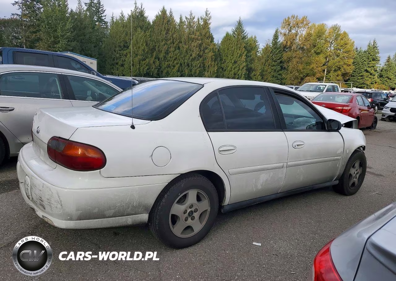 2005 Chevrolet Classic VIN:1G1ND52F05M244104 - 3