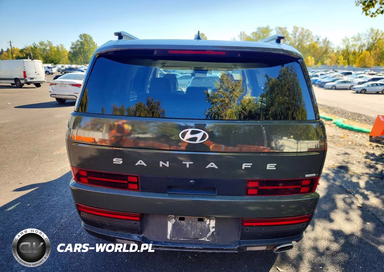 2024 Hyundai Santa Fe Sel VIN:5NMP2DGL8RH017920 - 6