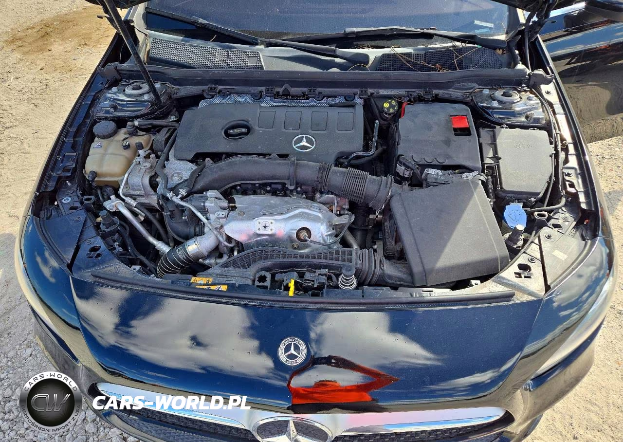 2020 Mercedes-Benz A 220 4Matic VIN:WDD3G4FB8LW040181 - 11