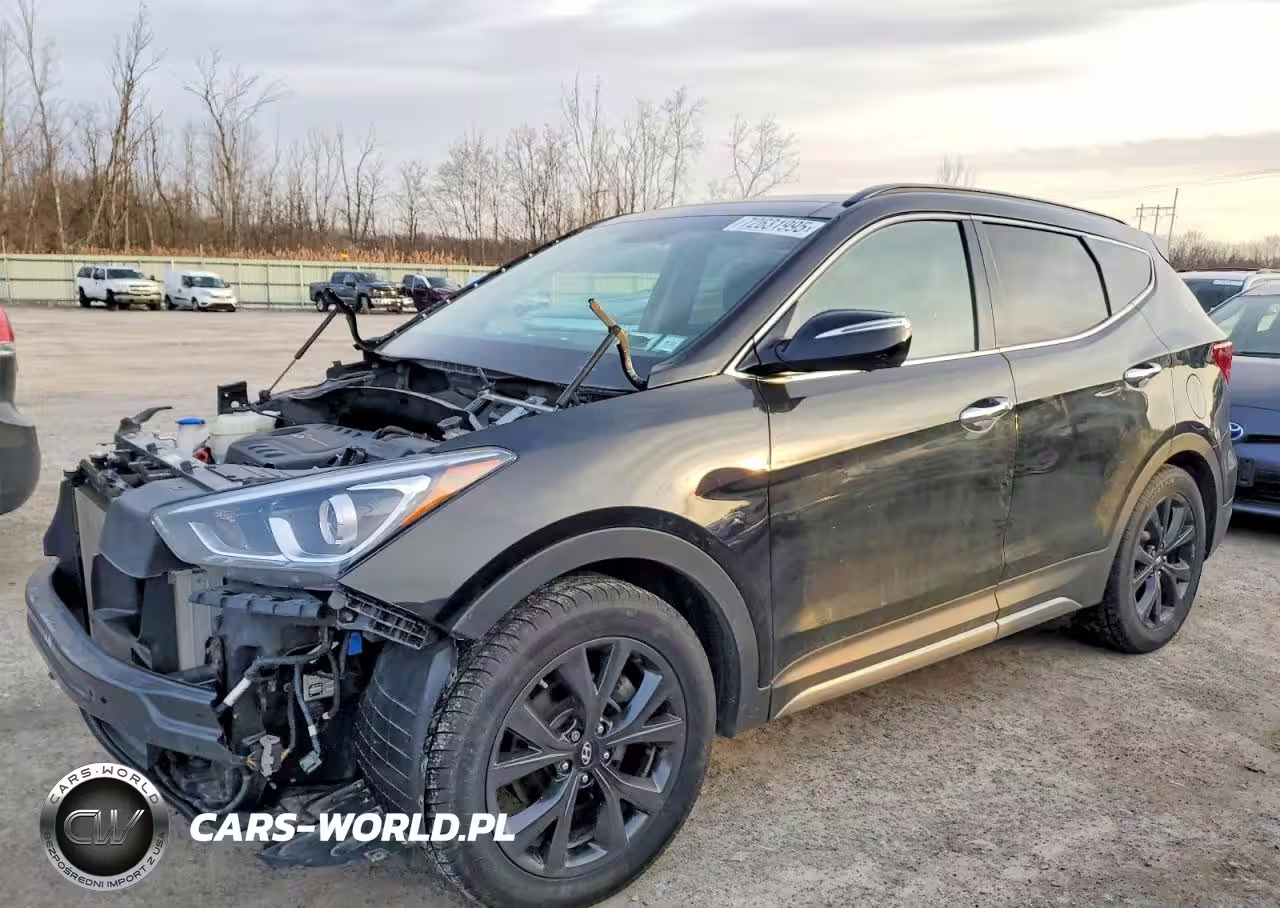Główne zdjęcie 2017 Hyundai Santa Fe Sport