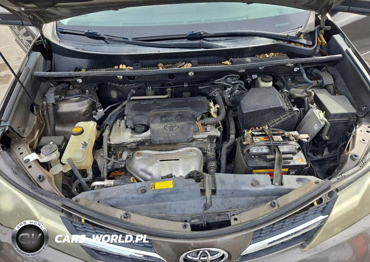 2015 Toyota Rav4 Xle VIN:2T3WFREV2FW193290 - 12