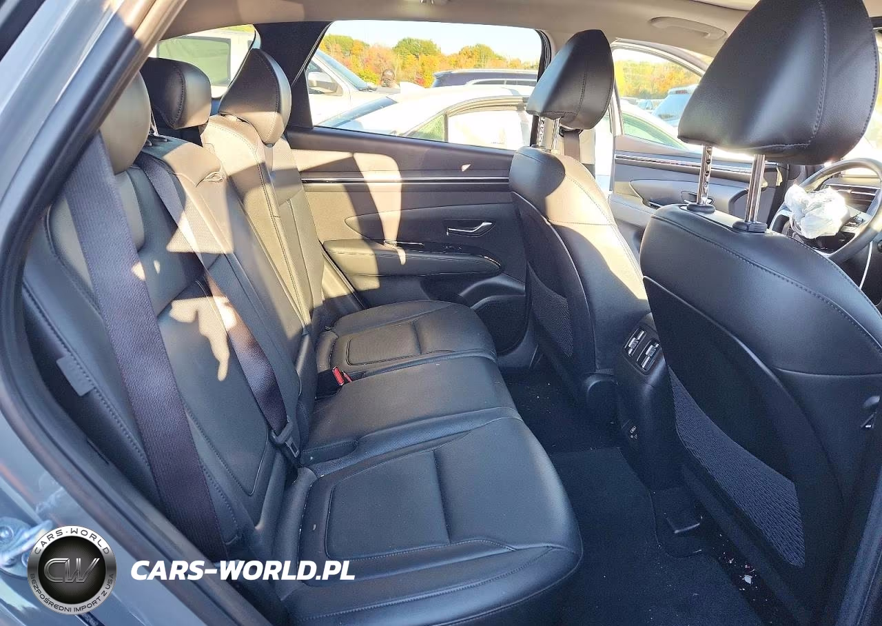 2024 Hyundai Tucson Limited VIN:5NMJECDE5RH324667 - 10