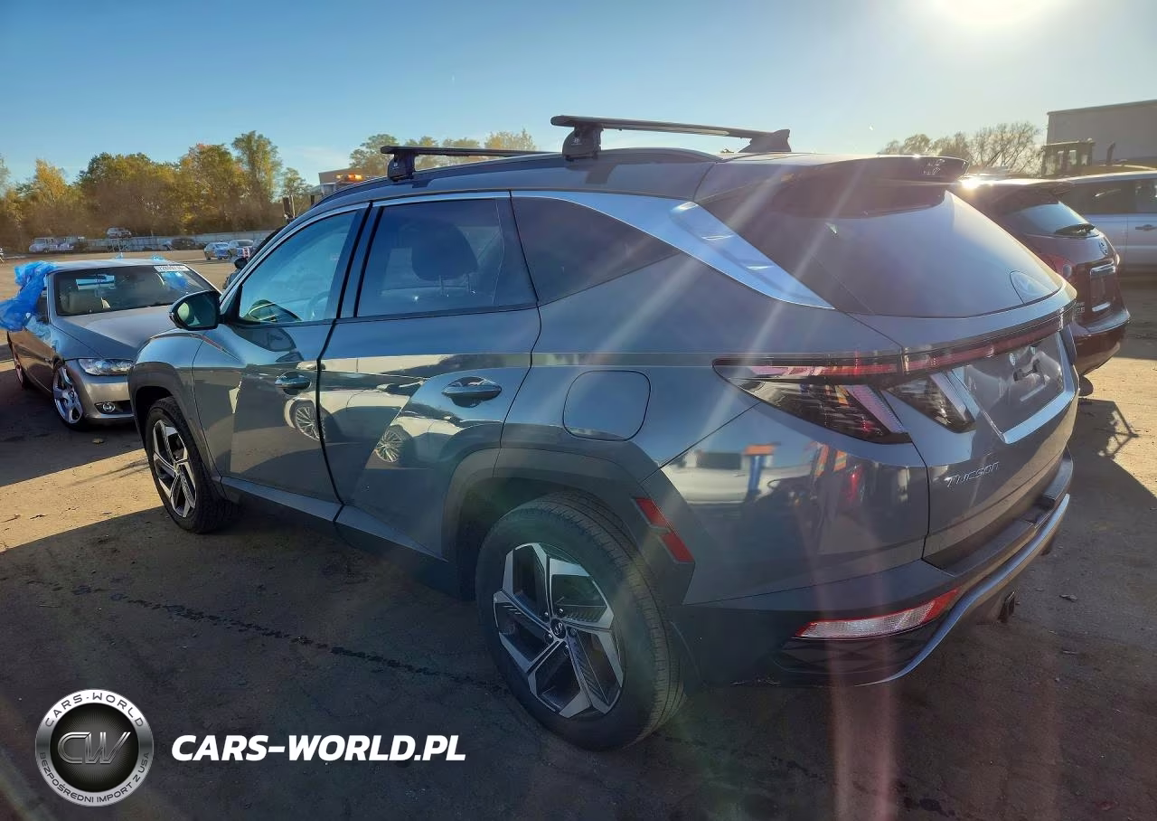2024 Hyundai Tucson Limited VIN:5NMJECDE5RH324667 - 2