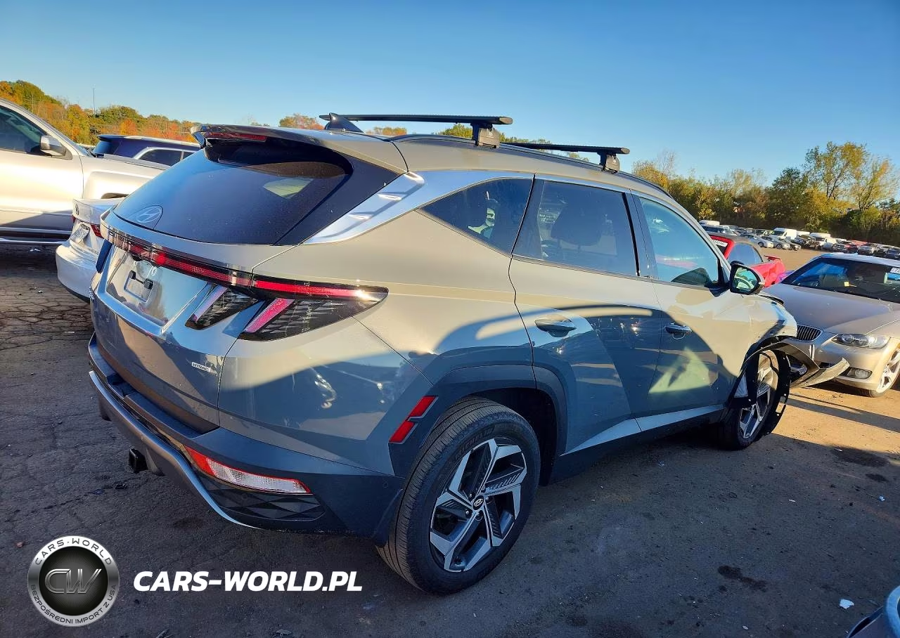 2024 Hyundai Tucson Limited VIN:5NMJECDE5RH324667 - 3
