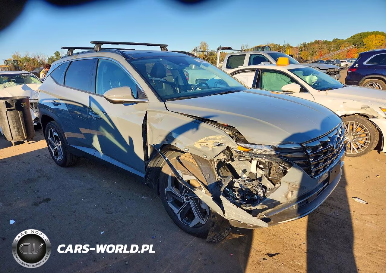 2024 Hyundai Tucson Limited VIN:5NMJECDE5RH324667 - 4