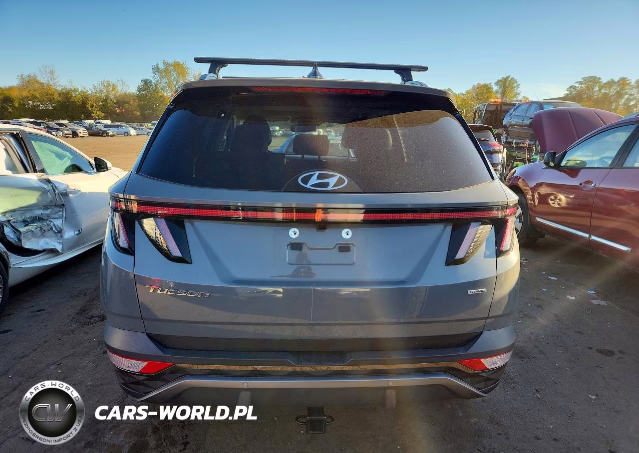 2024 Hyundai Tucson Limited VIN:5NMJECDE5RH324667 - 6