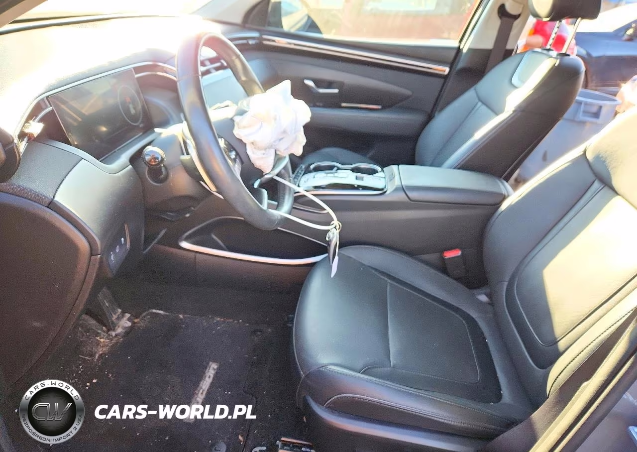 2024 Hyundai Tucson Limited VIN:5NMJECDE5RH324667 - 7