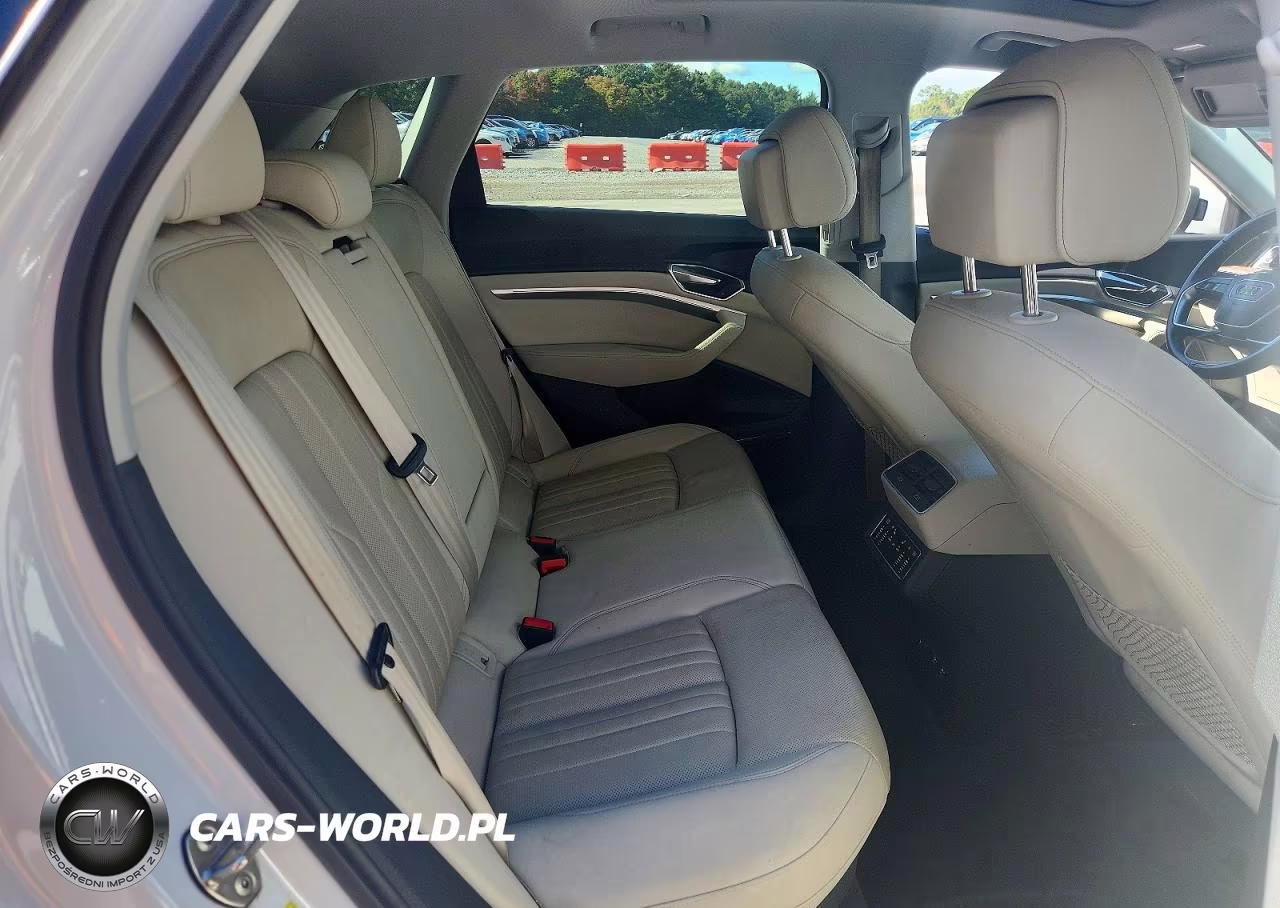 2019 Audi E-Tron Premium Plus VIN:WA1LAAGEXKB022879 - 10