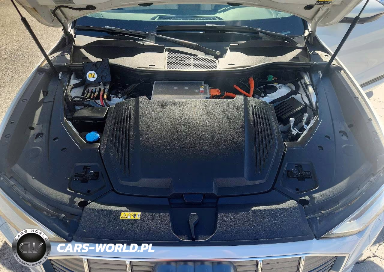 2019 Audi E-Tron Premium Plus VIN:WA1LAAGEXKB022879 - 11