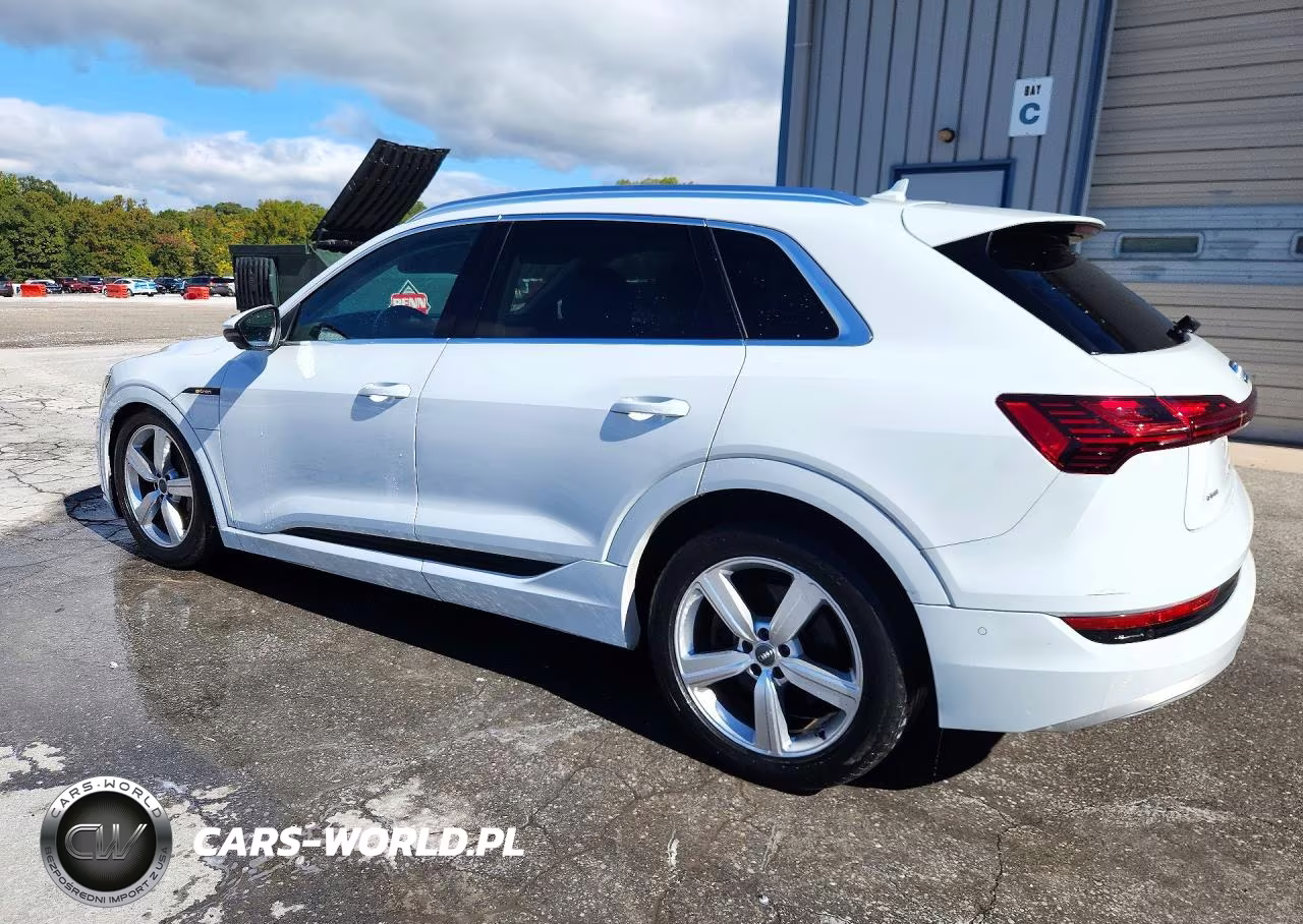 2019 Audi E-Tron Premium Plus VIN:WA1LAAGEXKB022879 - 2