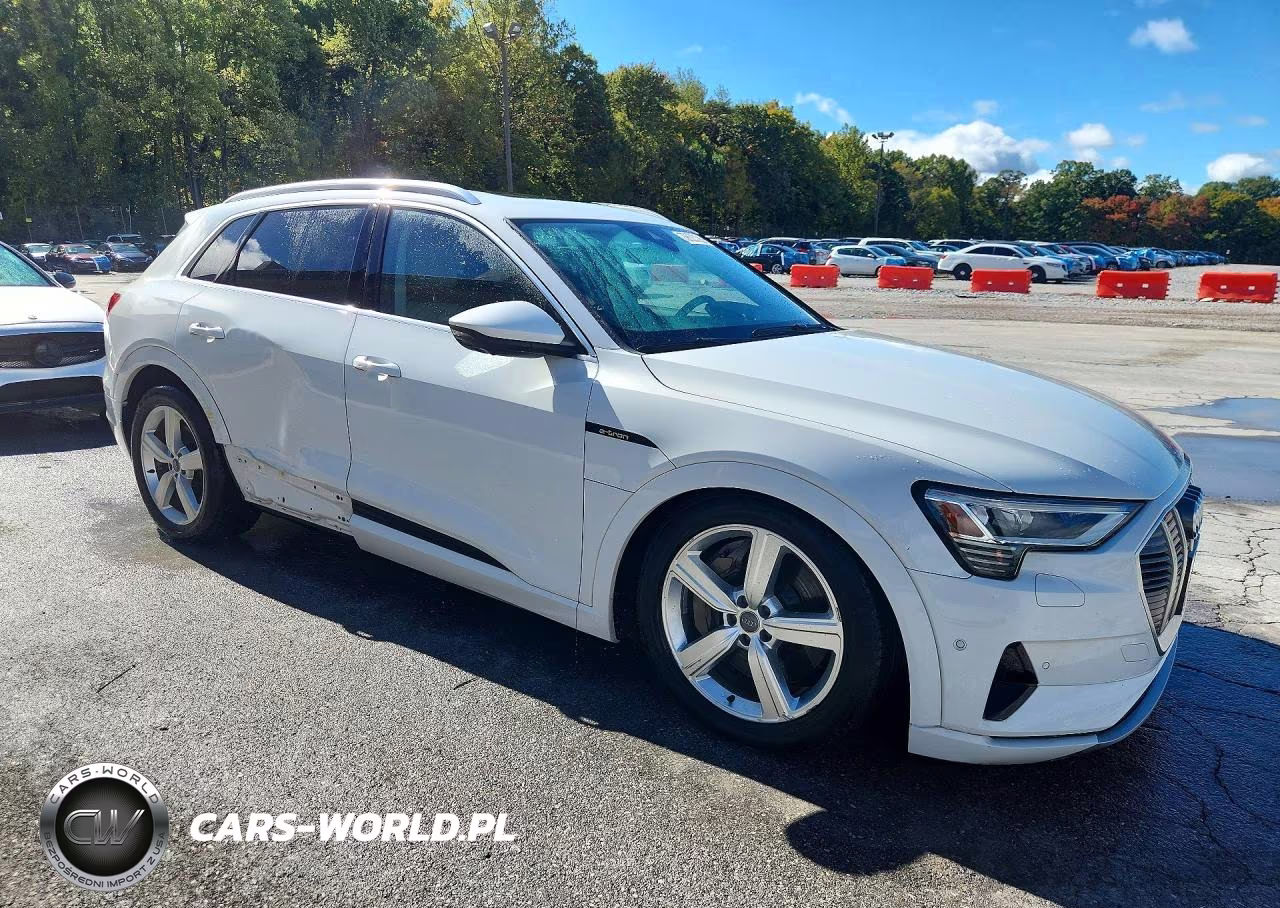 2019 Audi E-Tron Premium Plus VIN:WA1LAAGEXKB022879 - 4