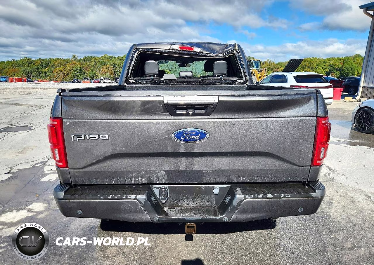 2017 Ford F150 Supercrew VIN:1FTEW1EG1HKD38930 - 6